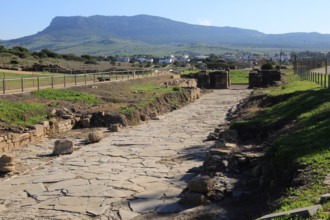 Paved main street in Baelo Claudia Roman site, Cadiz Province, Spain, Europe