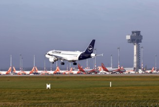 Landing of a Lufthansa Airbus A319 at BER Berlin Brandenburg Airport, Schönefeld, 13 November 2020