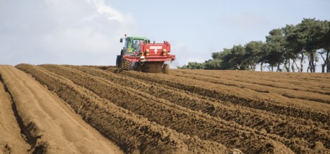 Grimme 25 de-stoner machinery preparing soil for crop of potatoes in a field, Shottisham, Suffolk,