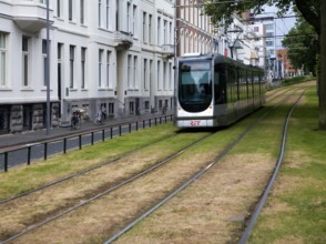 Tram tracks running over grass surface through city streets Rotterdam, Netherlands