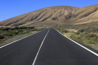 Tarmac road crossing desert, Fuerteventura, near Pajara, Canary Islands, Spain, Europe