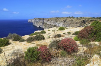 Coastal clifftop landscape view westwards at Ta' Cenc cliffs, island of Gozo, Malta, Europe