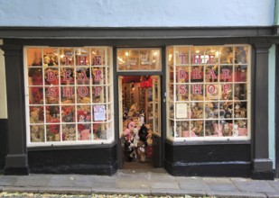 Historic buildings in Elm Hill, The Bear Shop, Norwich, Norfolk, England, UK