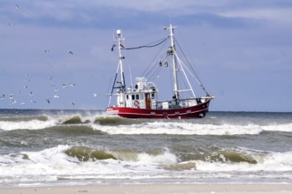 Fishing boat catching fish on the beach of Sueddorf, Amrum Island, 27/05/2021