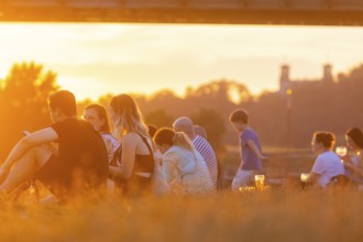 Summer evening at the Blue Wonder on the Elbe, Dresden Loschwitz, Dresden, Saxony, Germany, Europe