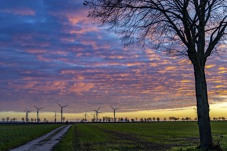 Wind farm near Holzweiler, town of Erkelenz, wind power plants, North Rhine-Westphalia, Germany,