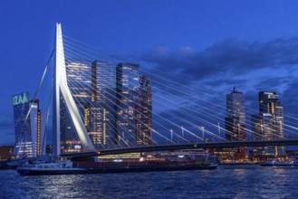 The skyline of Rotterdam, with the Erasmus Bridge over the Nieuwe Maas, skyscrapers in the Kop van