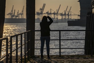 Port of Hamburg, view of the Container Terminal Burchardkai, from Altonaer Ufer, Hamburg, Germany,