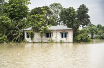 Morigaon, India. 4 July 2024. A flooded house, in a flood affected village in Morigaon district in