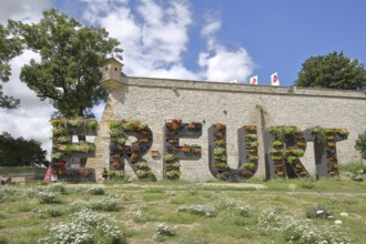 Font Erfurt with planting, greening, vertical garden, nature, green, guardhouse, guardhouse,