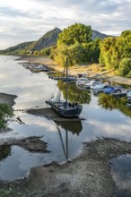 The Rhine at extremely low water, near Bad Honnef Rhöndorf, below the Drachenfels, the historic