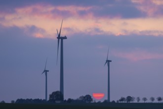 Rossau wind farm at sunset, Rossau wind farm, Rossau, Saxony, Germany, Europe