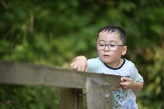 Child, boy aged 5, multi-ethnic, playing with marbles on XXL marble run, NATURATUM adventure forest