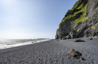 Black beach on the cliffs, Reynisfjara beach, Vik, South Iceland, Iceland, Europe