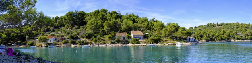 Beach, Plaža Valdarke Bay, Mali Losinj, Losinj Island, Kvarner Gulf Bay, Croatia, Europe