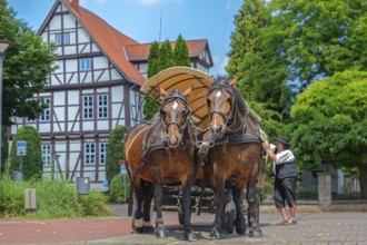 Horse-drawn carriage in front of Prinzenhof Rinteln Germany