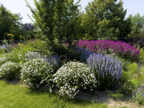 Flower impression, various flowers, sea of flowers