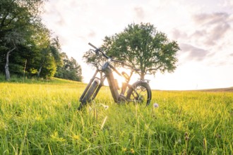 E-bike in a wide meadow, sun shines through the tree and illuminates the peaceful scenery, forest