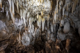 Stalactite cave, Terciopelo Cave, Barra Honda National Park, Costa Rica, Central America