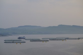 Quiet sea fish farm, salmon farming, Bergen, North Sea, Norway, Europe