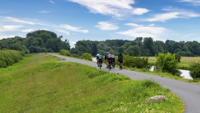 Cyclist on a cycle path by the river, landscape in the Lower Oder Valley National Park, Criewen,