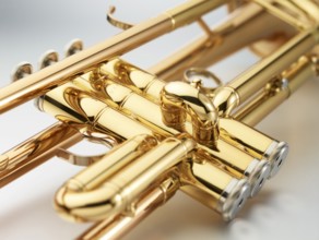 Trumpet in front of white background, detail, studio shot