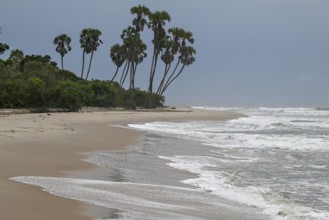 Beach, Petit Loango, Loango National Park, Parc National de Loango, Ogooué-Maritime Province,