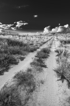 Vertical black and white a landscape photo with a path leading to the horizon. The sky has dramatic