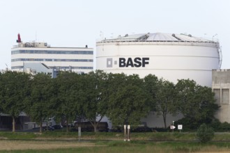 BASF, Lugwigshafen am Rhein, industrial area, Mannheim, Baden-Württemberg, Germany, Europe