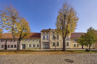 Autumnal trees, cobblestone street, residential building with lantern, cloudless blue sky,