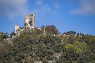 Drachenfels, a mountain in the Siebengebirge on the Rhine between Bad Honnef and Königswinter, with