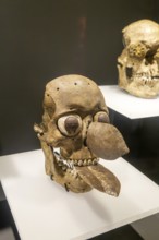 Human skull masks, archaeological site and museum of Templo Mayor, Mexico City, Mexico, Central