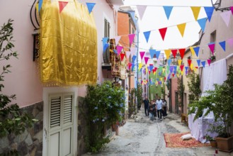 Decorated alley and celebrating people, feast of the Madonna of Regnos Altos, Bosa, district of