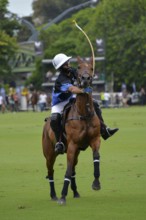 Scene from the 131st Argentine Open Polo Championship (Spanish: Campeonato Argentino Abierto de