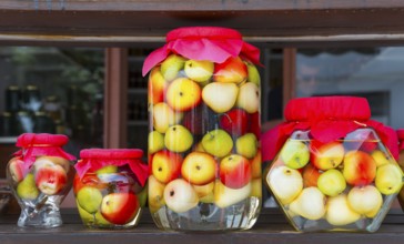 Colourful assorted glass jars with pickled fruit and red lids in front of a wooden backdrop,