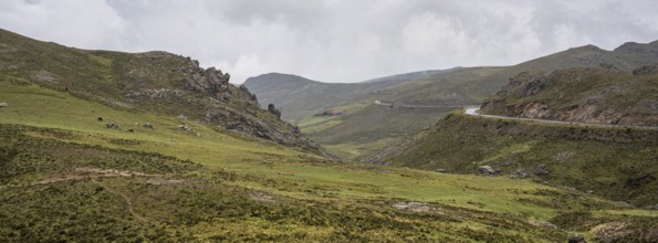 Peruvian highland vegetation, Crossing the Andes from Cuscu towards Nazca, Route 30A, Peru, South