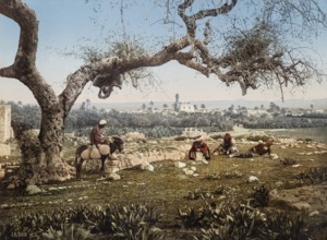 Farmers, Lod, Palestine, Israel, Holy Land, photochrome print around 1890, Asia