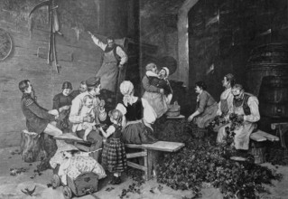 Quartering of soldiers with a hop farmer in the Hallertau, Germany, illustration from 1885, hop