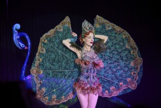 Pompously dressed young lady at a gala ball during a performance (Great Gala-Dinner-Show),