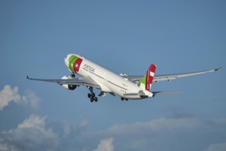 Lisbon, Portugal - September 2, 2023: TAP Air Portugal Airbus A330-941 passenger plane in sky after