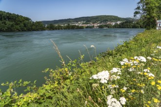 The Rhine near Waldshut-Tiengen, Baden-Württemberg, Germany, Europe