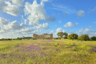 Temple of Hera or Temple E, Selinunte Archaeological Park, Selinunte, Trapani district, Sicily,