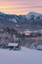 Dawn and sunrise at the wintry Forggensee in a snow-covered winter landscape in the foothills of