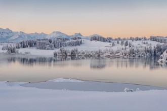 Dawn and sunrise at the wintry Forggensee in a snow-covered winter landscape in the foothills of