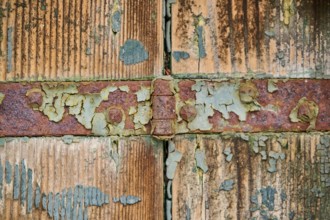 Detail of weathered wood from an old window shutter, Burano, Venice Italy