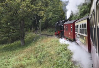 Selketalbahn, Harzer Schmalspurbahn, Brockenbahn runs through the Harz Mountains, Saxony-Anhalt,