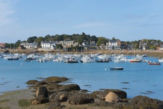 A multitude of boats in the harbour in front of a coastal town, Ploumanac'h, Ploumanach,