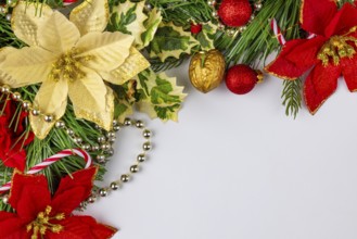 Christmas decoration with red and white flowers, holly and nuts on a white background, copy room