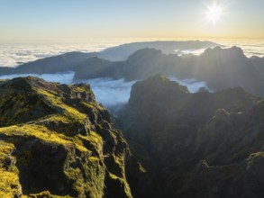 Aerial view at Pico do Arieiro of mountains over clouds with blooming Cytisus shrubs on sunset with