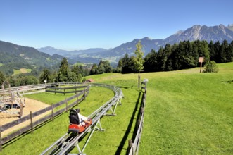 Söllereck toboggan at the valley station of the Söllereck cable car, Oberstdorf, Allgäu, Bavaria,